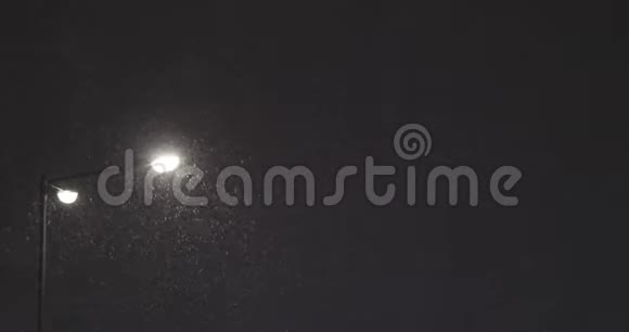 暴风雪期间夜间的路灯视频的预览图