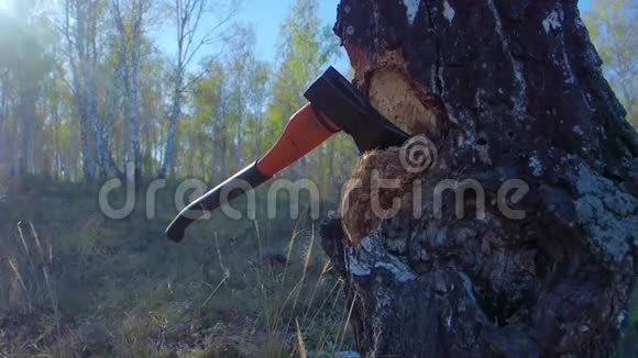 木材杰克用斧子砍柴的详细资料靠近樵夫劈柴田园风光视频的预览图