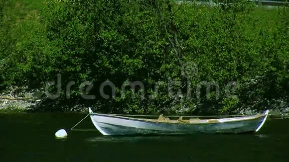 江水空木舟浪景海岸的绿树夏日阳光明媚没有人视频的预览图