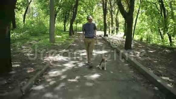 年轻人和他的狗在夏天公园散步男人拍拍狗视频的预览图