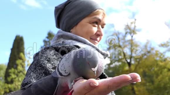 一个微笑的女人在邋遢的阳光广场上喂鸽子视频的预览图