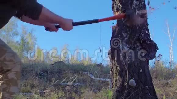 木材杰克用斧子砍柴的详细资料靠近樵夫劈柴田园风光视频的预览图