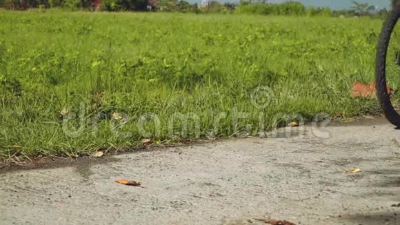 两个自行车轮骑在路上草地背景视频的预览图