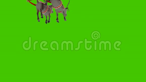 圣诞老人和驯鹿坐在圣诞雪橇上在绿色屏幕前动画视频的预览图