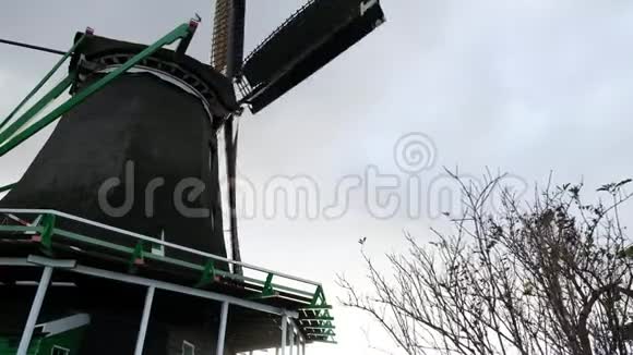 美丽的历史风车在ZaanseSchans荷兰视频的预览图