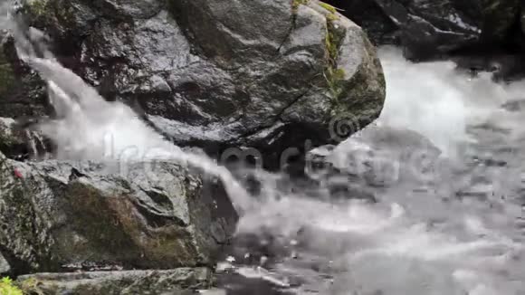 小溪里的石头和纯净水视频的预览图
