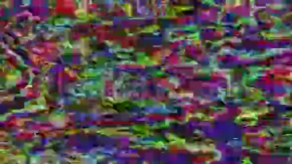 饱和嘈杂的霓虹闪烁的背景视频的预览图