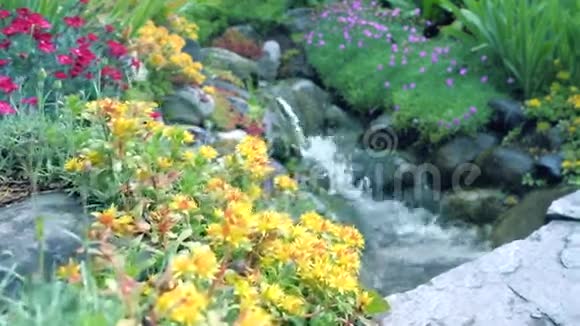 前景中黄色的花园花背景中岩石上的一条河摄像机的移动使得视频的预览图