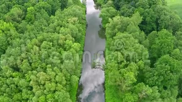 平静的河流在树木中的空中拍摄视频的预览图