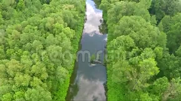 平静的河流在树木中的空中拍摄视频的预览图