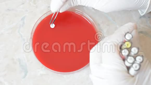 实验室医生或科研人员在培养皿上做抗生物图谱视频的预览图