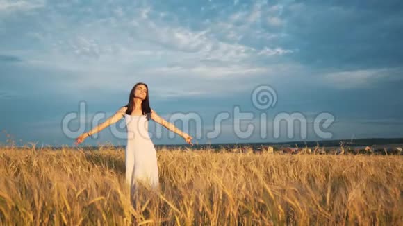日落时分一个年轻的女孩站在一片金色的麦田里举起双手慢吞吞的动作视频的预览图