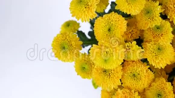 特写从上面看花花束白色背景上旋转花成分由黄色组成视频的预览图