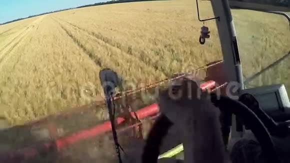 农民驾驶联合收割机收割小麦视频的预览图