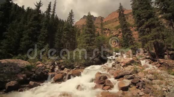 山河在林中紧拢夏季视频的预览图