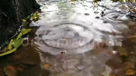 雨滴落在水坑上雨下得很快视频的预览图