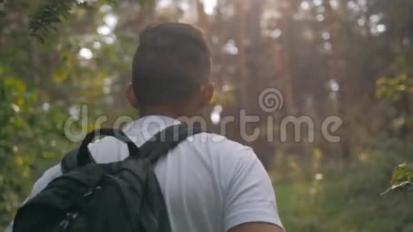 阳光明媚的秋日游客在森林中漫步边休息边呼吸新鲜空气男性戴着时髦的太阳镜视频的预览图