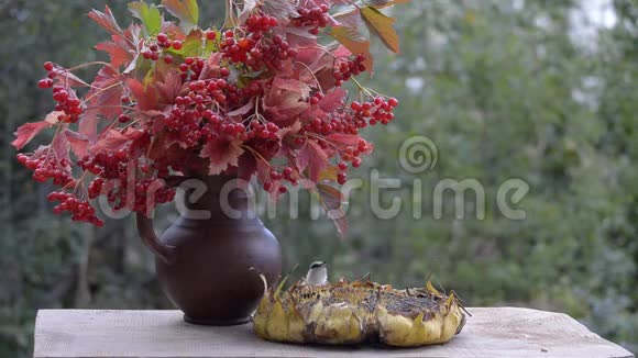 鸟儿在花园的木桌上啄着葵花籽视频的预览图