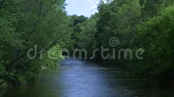 美丽的河流穿过绿色植物7分之5视频的预览图