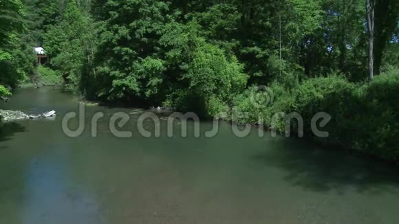 美丽的河流穿过绿色植物7分之2视频的预览图