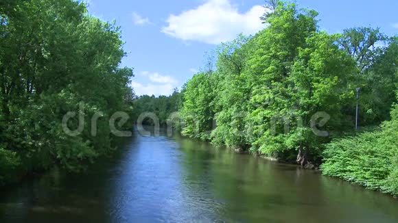 美丽的河流穿过绿色植物7分之6视频的预览图