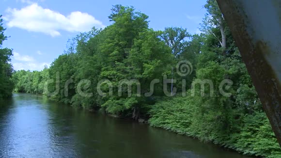 穿过绿色植物的美丽河流第7页共7页视频的预览图