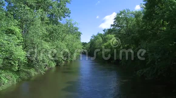 美丽的河流穿过绿色植物7分之4视频的预览图