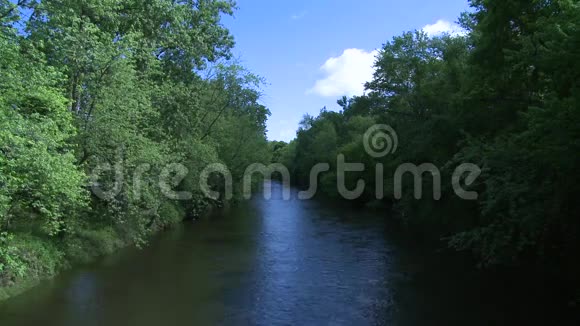 美丽的河流穿过绿色植物七分之一视频的预览图