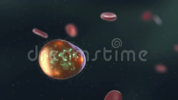 循环式医疗动画人体内来源不明的分子视频的预览图