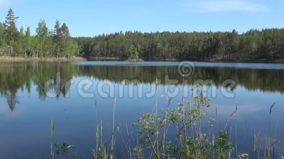 六月阳光明媚的一天帕皮兰拉蒂湖上芬兰Ruokolahti视频的预览图