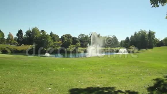 阳光充足的公园里美丽的喷泉8个中的3个视频的预览图