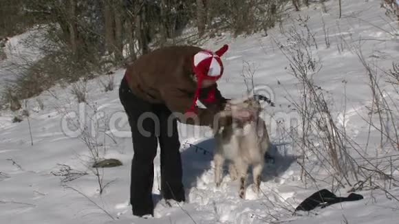 人羊祝贺圣诞节视频的预览图