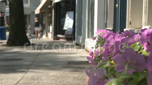 沿着一条城市街道美丽的花朵5分之4视频的预览图