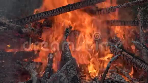靠近燃烧的木头火焰和热烬4K视频的预览图