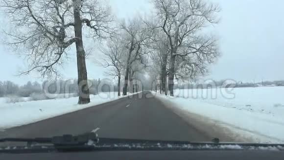 冬天开空路巷霜雪覆盖树木4K视频的预览图