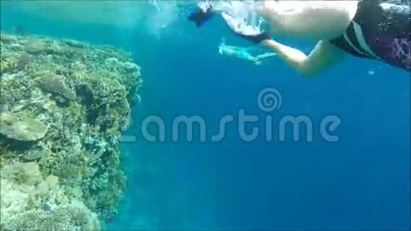 在埃及潜水视频的预览图