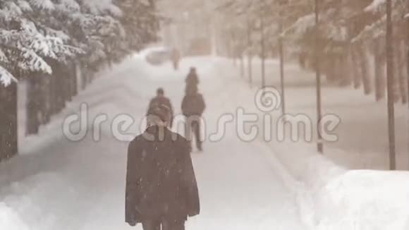人们在冬天的树林里散步雪天视频的预览图