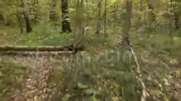 在森林小路上跑步的个人观点视频的预览图