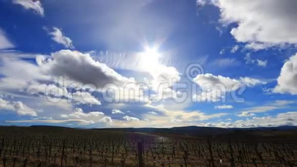法国有移动的云和灿烂的太阳的葡萄园视频的预览图