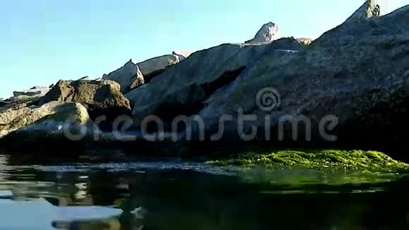 阿尔加水下景观视频的预览图