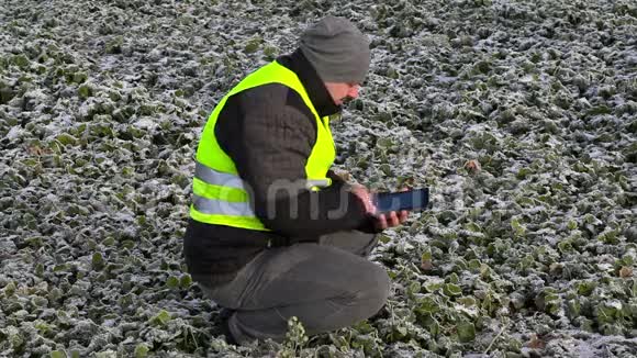 农民与平板电脑检查植物冷冻田视频的预览图