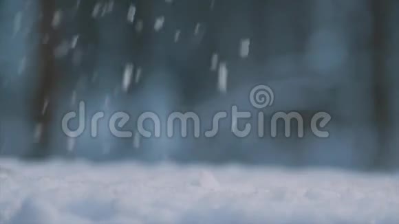 树林里的雪雪花落下特写视频的预览图
