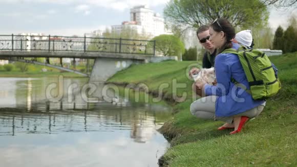 一家人正在湖边的公园里喂鸭子这个小男孩帮助把食物给鸟扔进水里视频的预览图