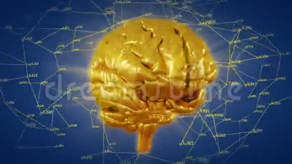 人脑黄金网络旋转视频的预览图
