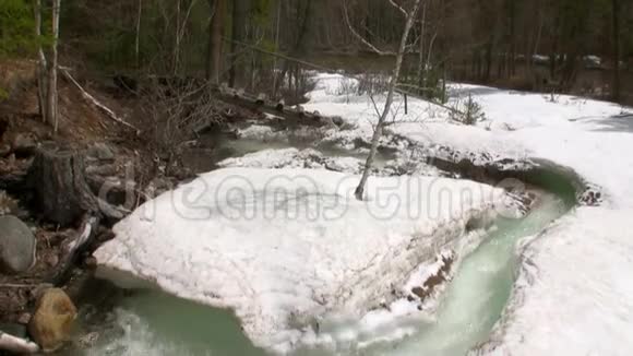 俄罗斯西伯利亚春天的溪流视频的预览图