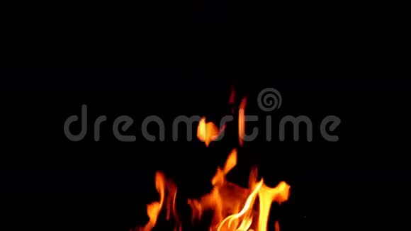 阿尔法查纳尔PNG火焰之夜视频的预览图