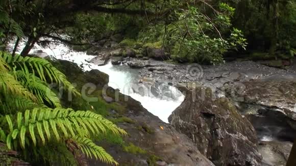 新西兰山区河流和岩石的动力水视频的预览图