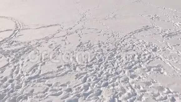 冬天的乐趣乘雪车旅行两个人骑着雪车在冰冻的湖冰上视频的预览图