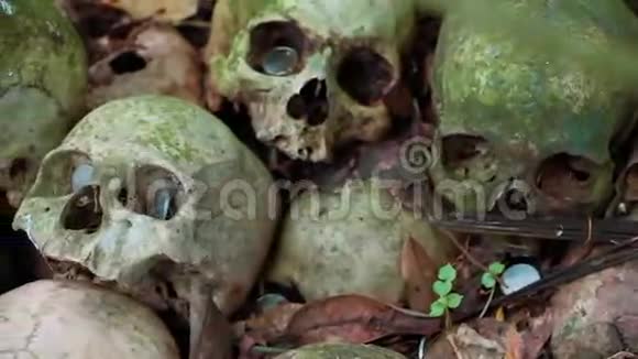 一排排长满青苔的人类头骨到处都是硬币特伦岩公墓视频的预览图