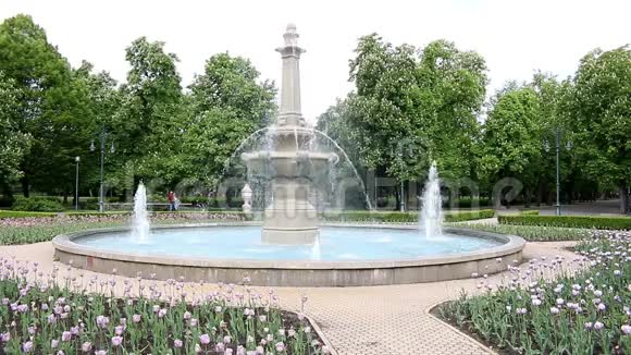鲜花和喷泉公园埃格视频的预览图